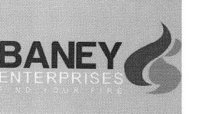 BANEY ENTERPRISES FIND YOUR FIRE logo