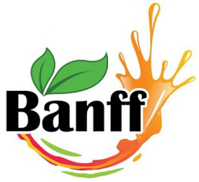 BANFF logo