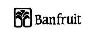 BANFRUIT logo