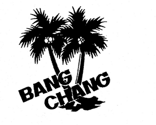 BANG CHANG logo