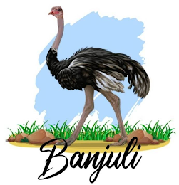 BANJULI logo