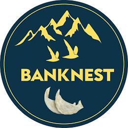 BANKNEST logo