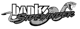 BANKS SIDEWINDER logo