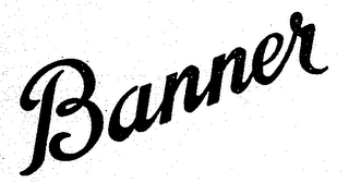 BANNER logo