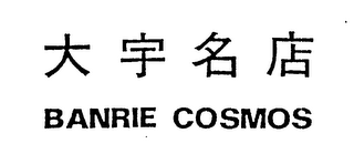BANRIE COSMOS logo