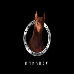 BANSHEE logo