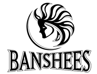 BANSHEES logo