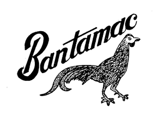 BANTAMAC logo
