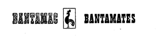 BANTAMAC BANTAMATES logo