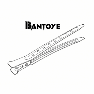 BANTOYE logo