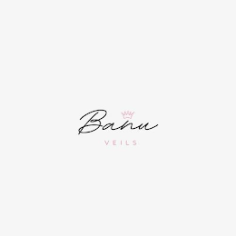BANU VEILS logo