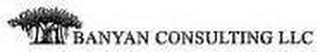 BANYAN CONSULTING LLC logo