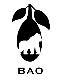 BAO logo
