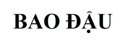 BAO DÂU logo
