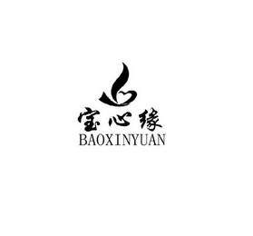 BAOXINYUAN logo