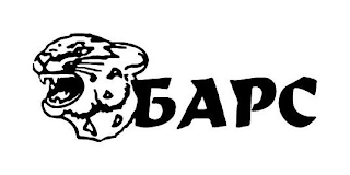BAPC logo