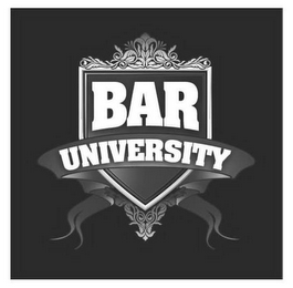 BAR UNIVERSITY logo