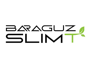 BARAGUZ SLIMT logo