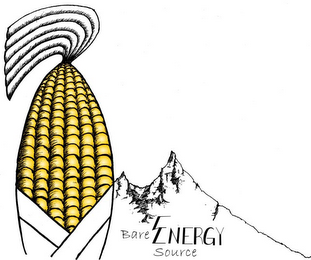 BARE ENERGY SOURCE logo