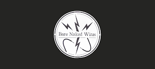 BARE NAKED WIRES logo