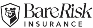 BARE RISK INSURANCE logo