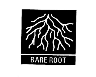 BARE ROOT logo