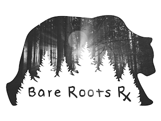 BARE ROOTS RX logo