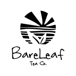 BARELEAF TEA CO. logo