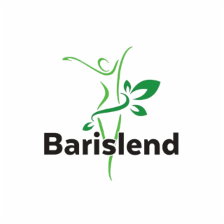 BARISLEND logo
