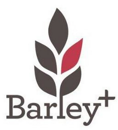 BARLEY logo