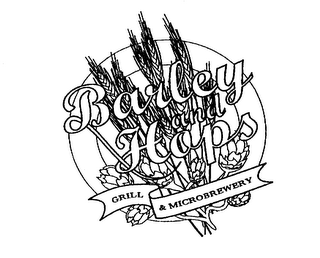 BARLEY AND HOPS GRILL & MICROBREWERY logo