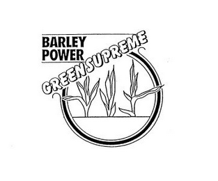 BARLEY POWER GREEN SUPREME logo