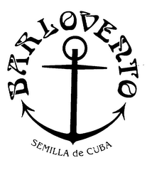 BARLOVERTO SEMILLA DE CUBA logo