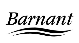 BARNANT logo