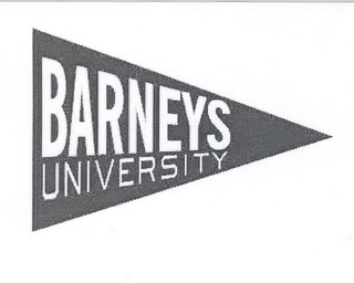 BARNEYS UNIVERSITY logo