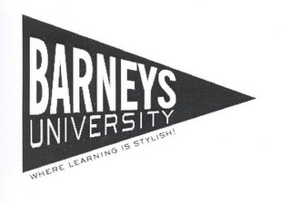 BARNEYS UNIVERSITY WHERE LEARNING IS STYLISH! logo