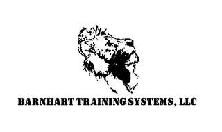 BARNHART TRAINING SYSTEMS, LLC logo