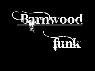 BARNWOOD FUNK logo