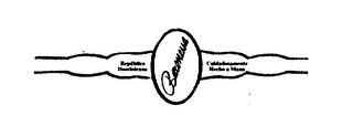 BARONESSA REPUBLICA DOMINICANA CUIDADOSAMENTE HECHO A MANO logo