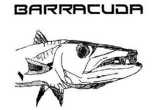 BARRACUDA logo