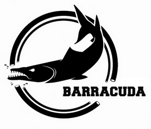 BARRACUDA logo