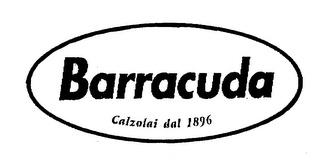 BARRACUDA CALZOLAI DAL 1896 logo