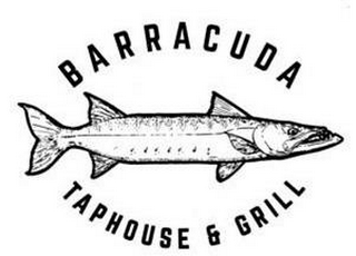 BARRACUDA TAPHOUSE & GRILL logo