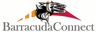 BARRACUDACONNECT logo