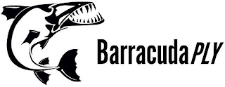 BARRACUDAPLY logo