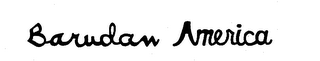BARUDAN AMERICA logo