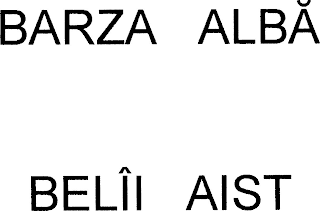 BARZA ALBA BELÎI AIST logo