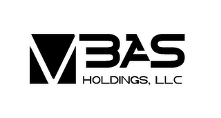 BAS HOLDINGS, LLC logo