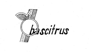 BASCITRUS logo