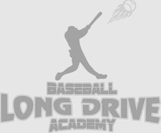 BASEBALL LONG DRIVE ACADEMY logo